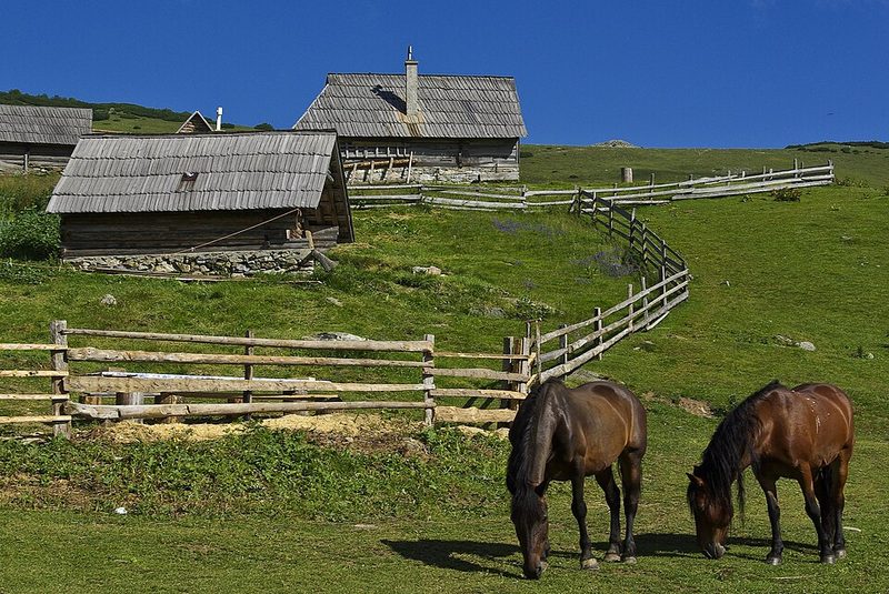 Bosnian Mountain