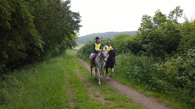 British Riding