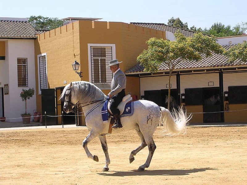 Carthusian