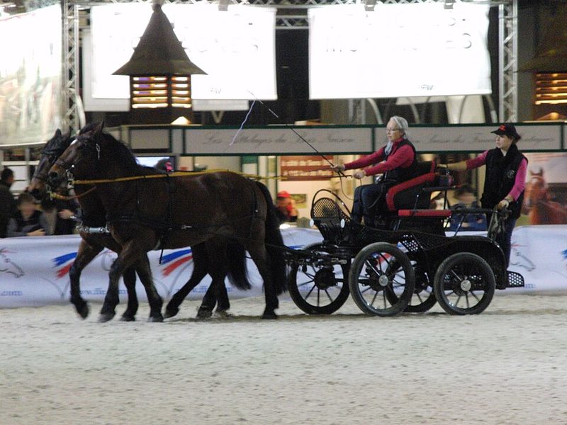 Castillonnais