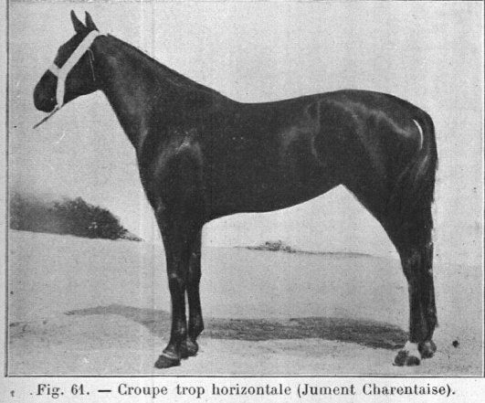 Charentais