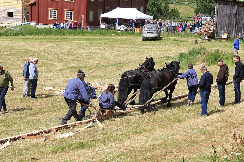 Dølehest