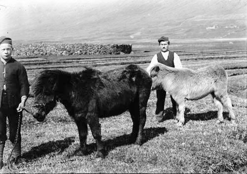 Faroe