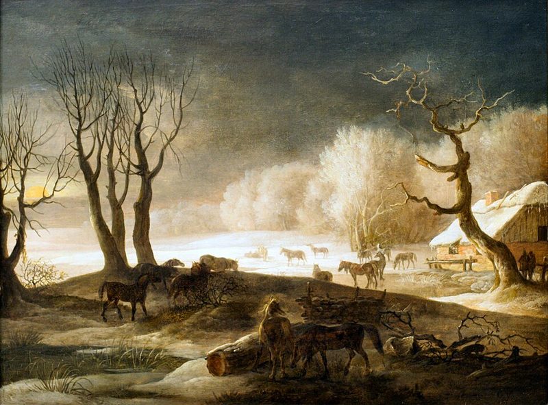 Frederiksborger