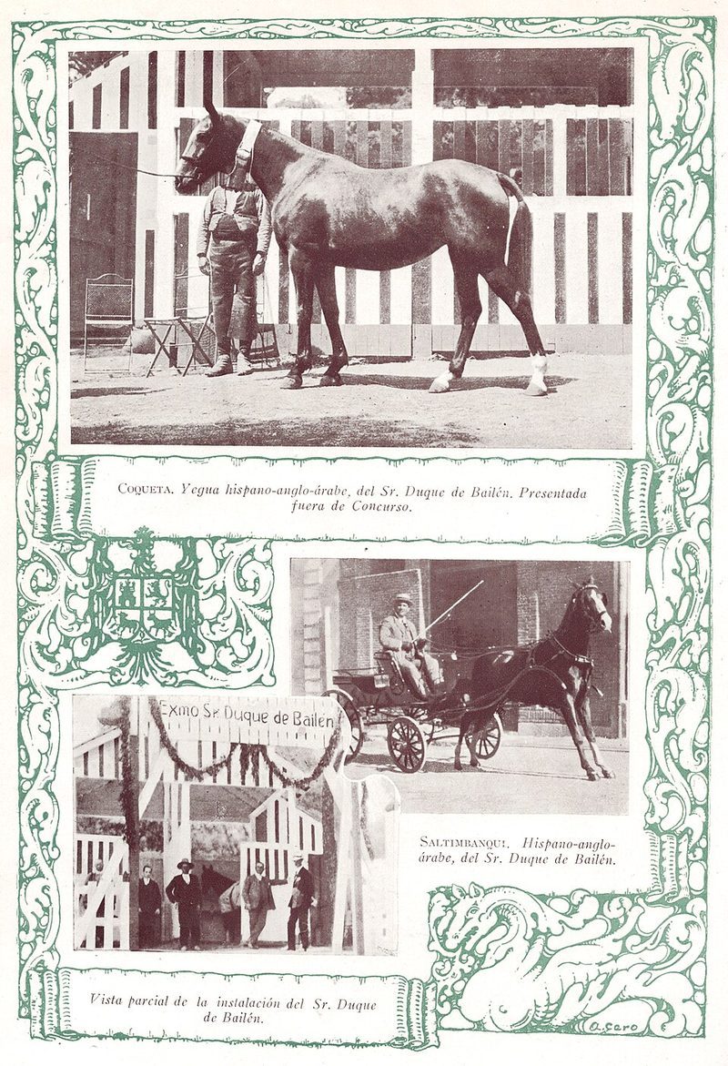 Hispano-Árabe