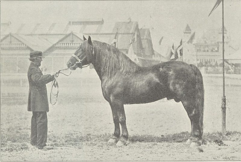 Jutland