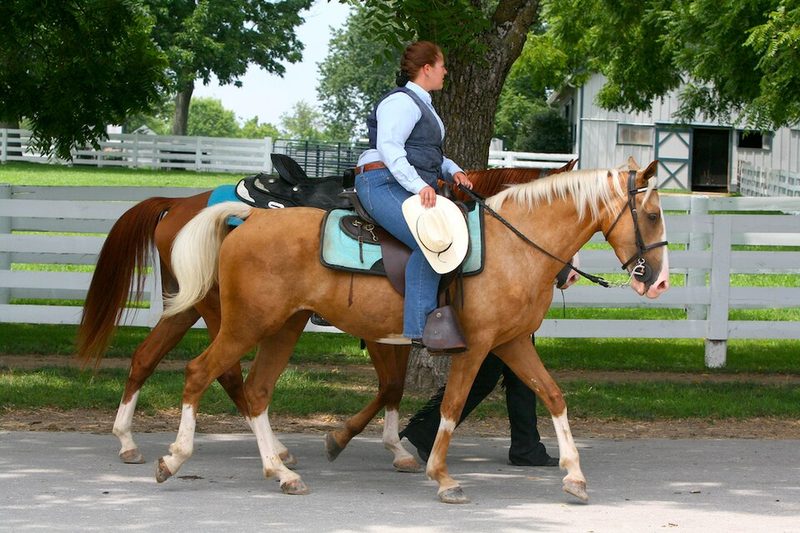 Kentucky Mountain Saddle