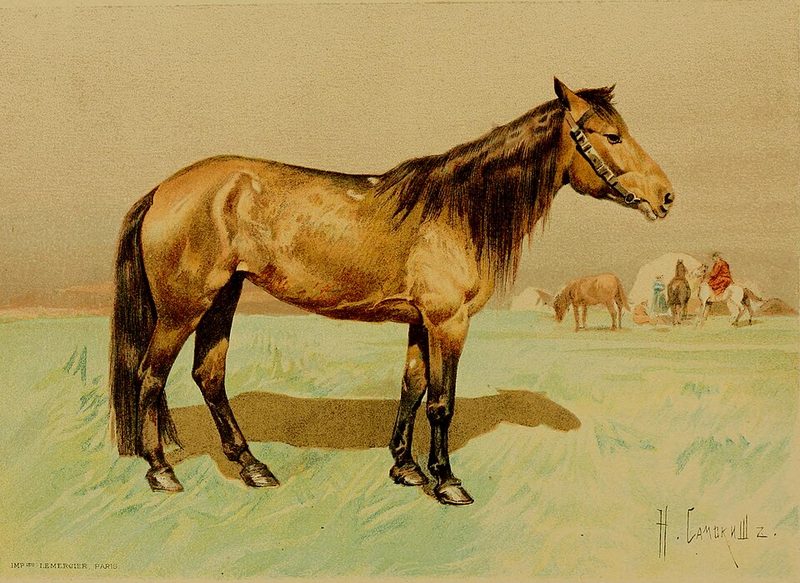 Kyrgyz