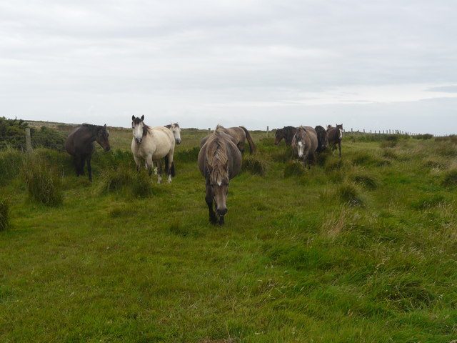 Lundy