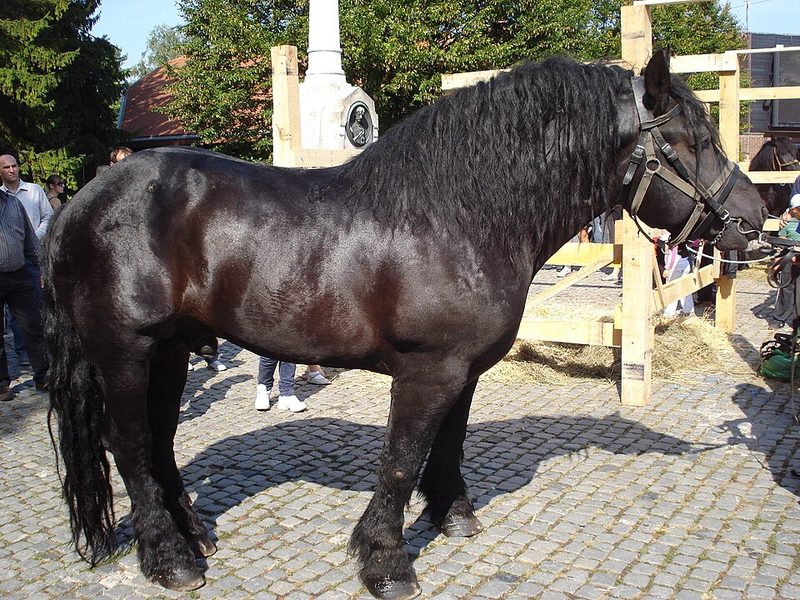 Međimurje
