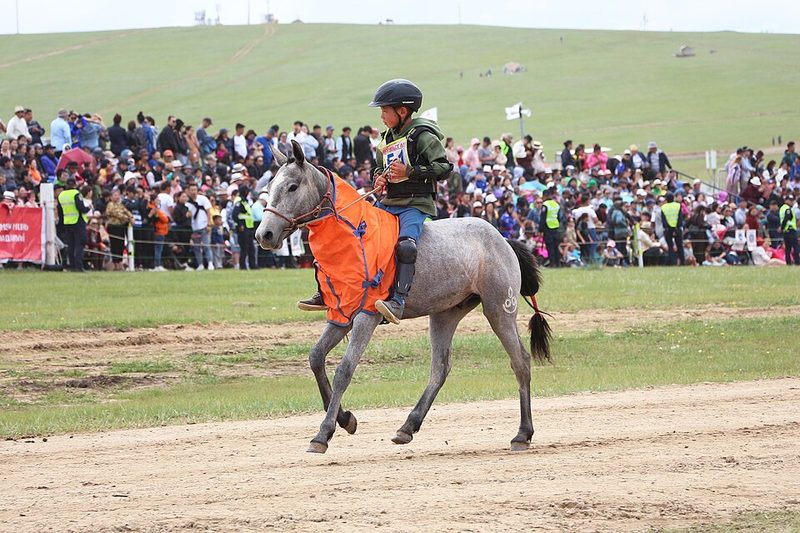 Mongolian
