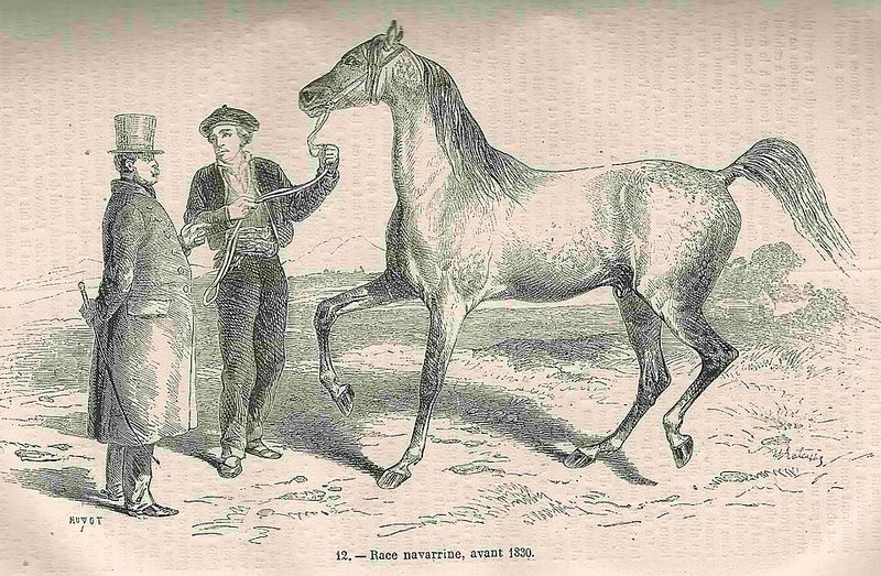 Navarrin