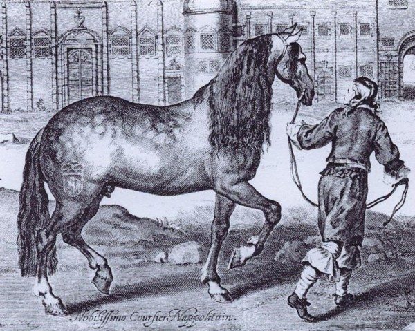 Neapolitan