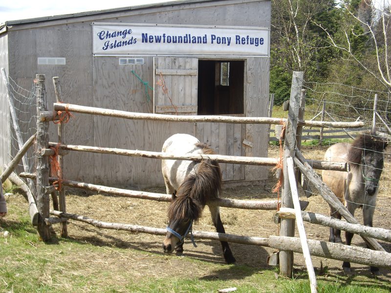 Newfoundland