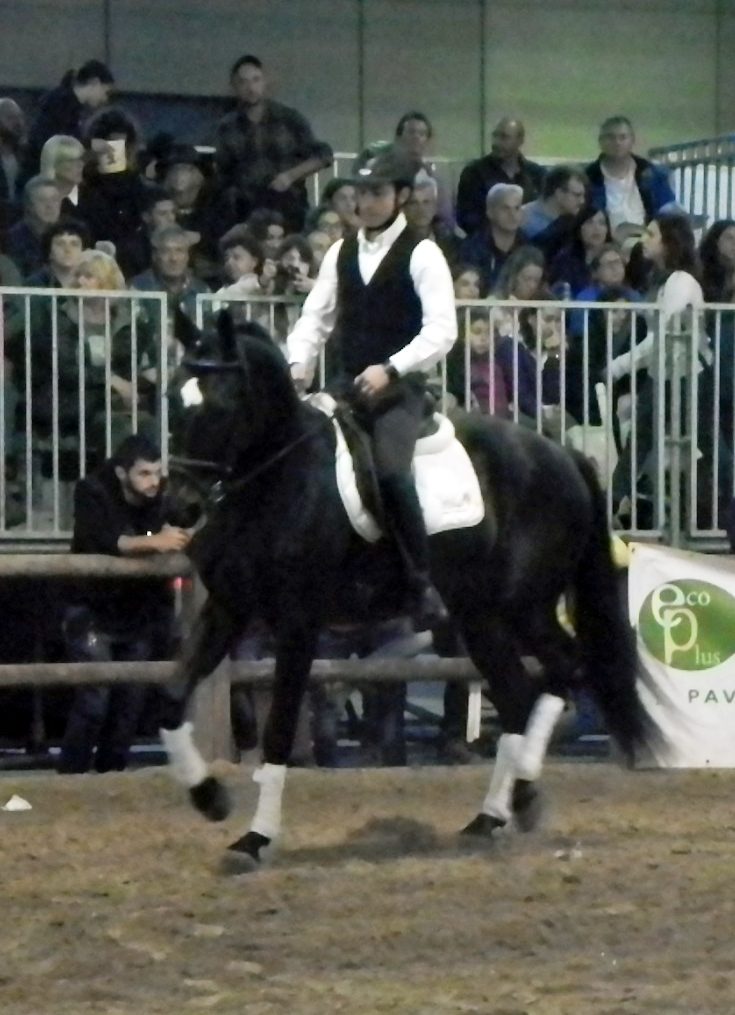 Salernitano