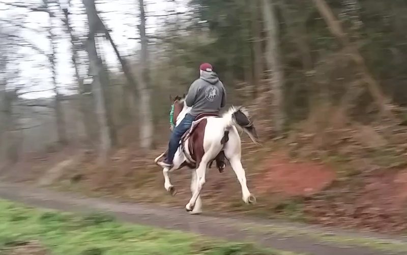 Single-Footing