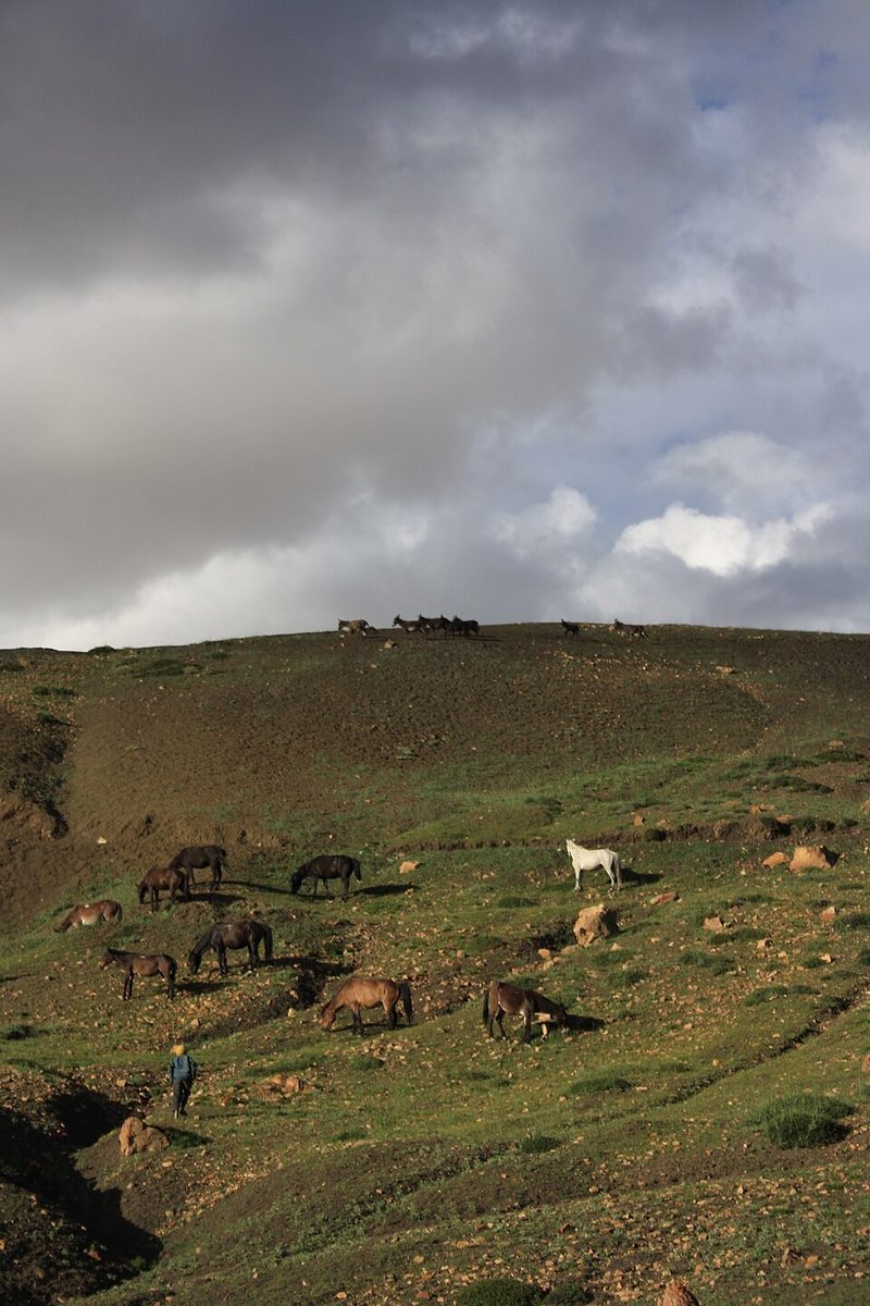 Spiti