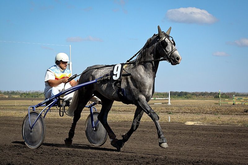 Trotteur Orlov
