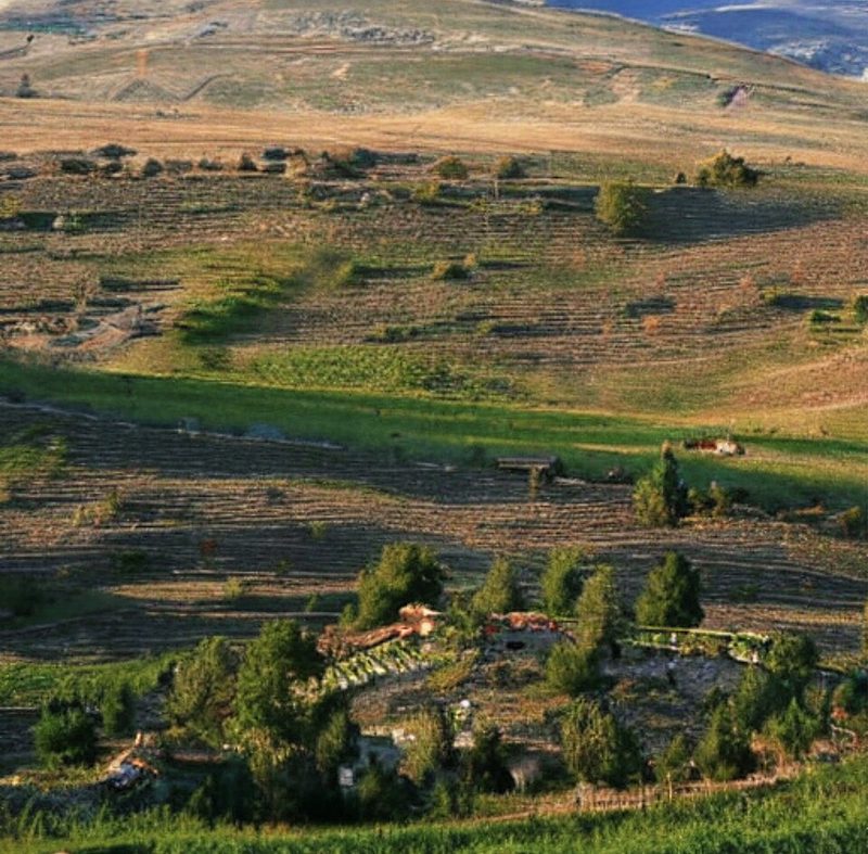 Uzunyayla