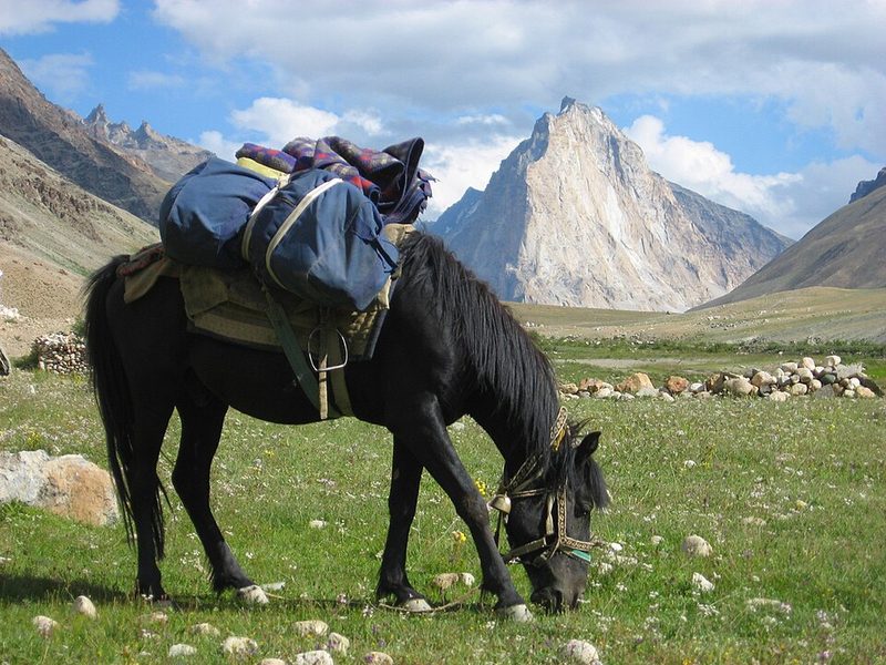Zaniskari