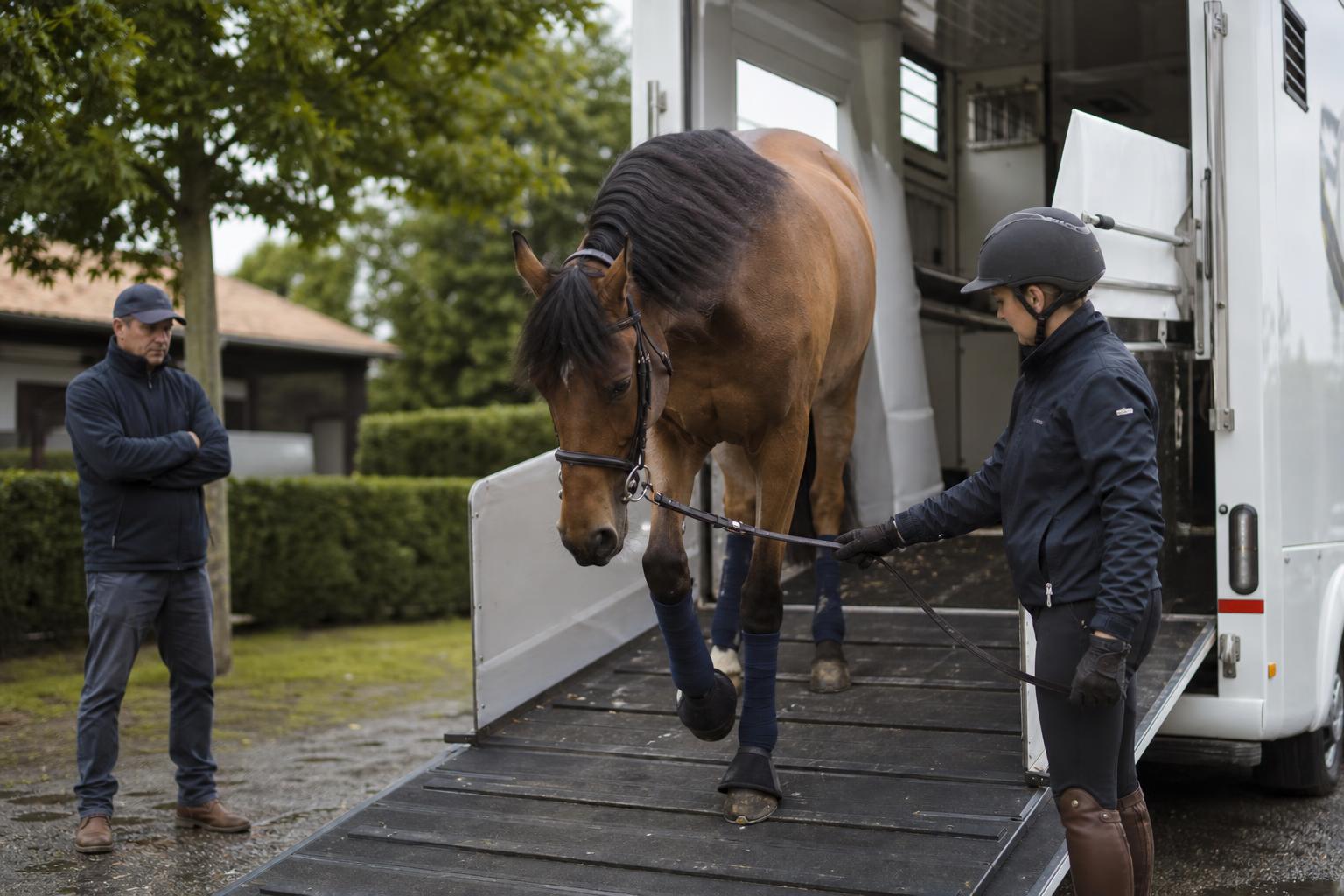 Photo transport chevaux Transportsdecoopman