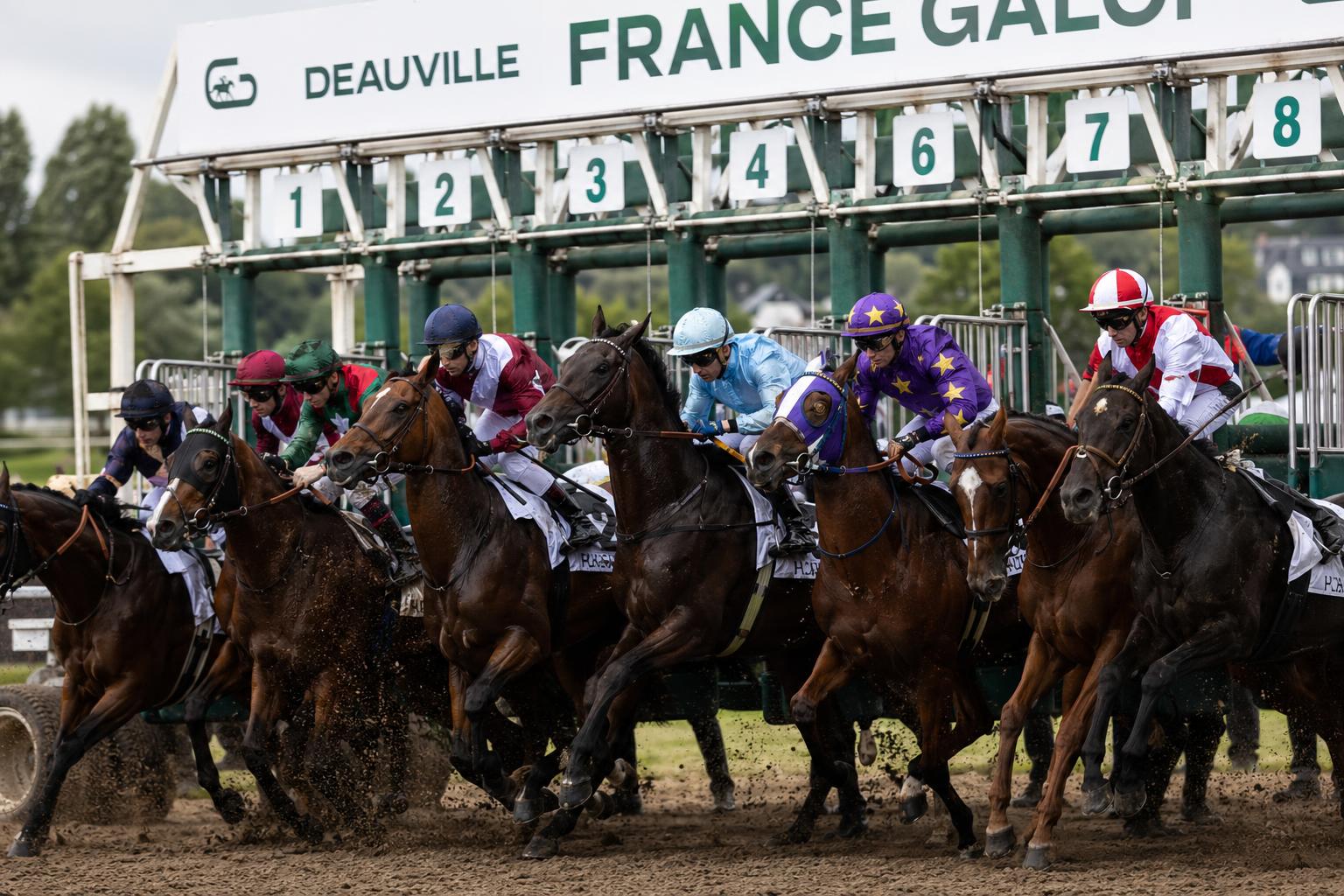 Hippodrome de Deauville-La Touques