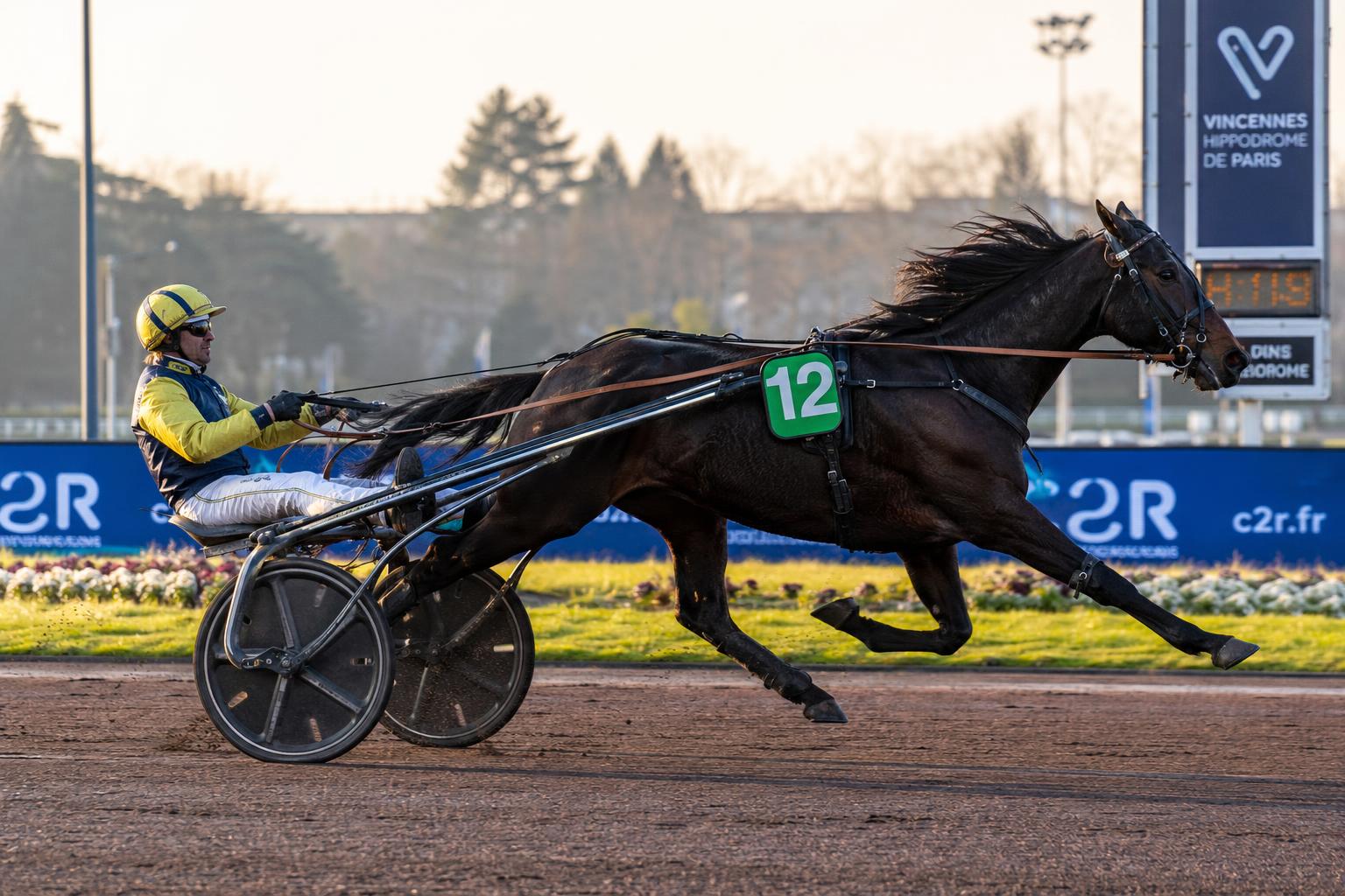 Hippodrome du Petit Port