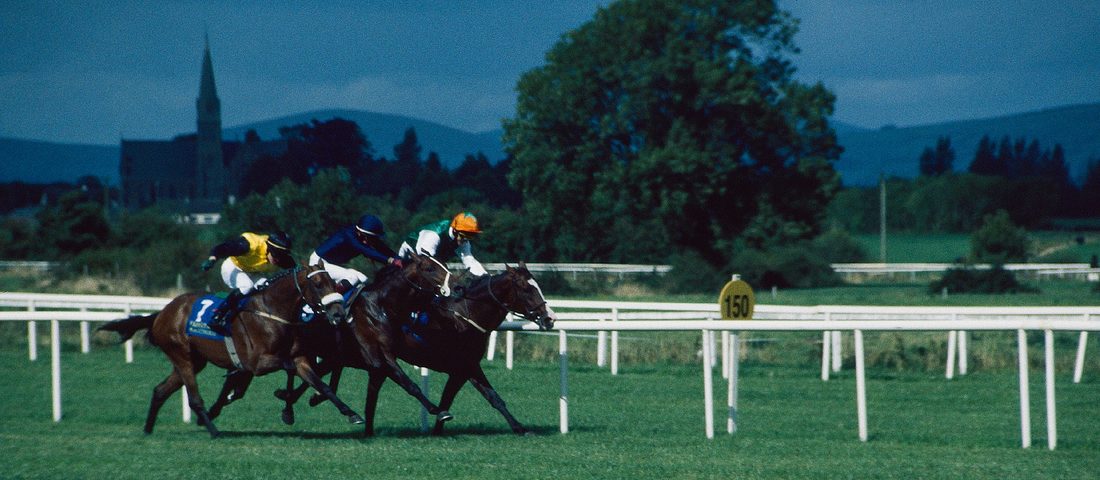 Arrivée d'une course de galop sur un hippodrome de plat