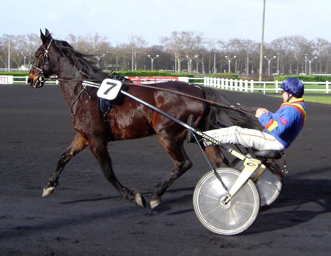 Course de trot attelé à l'hippodrome de Vincennes