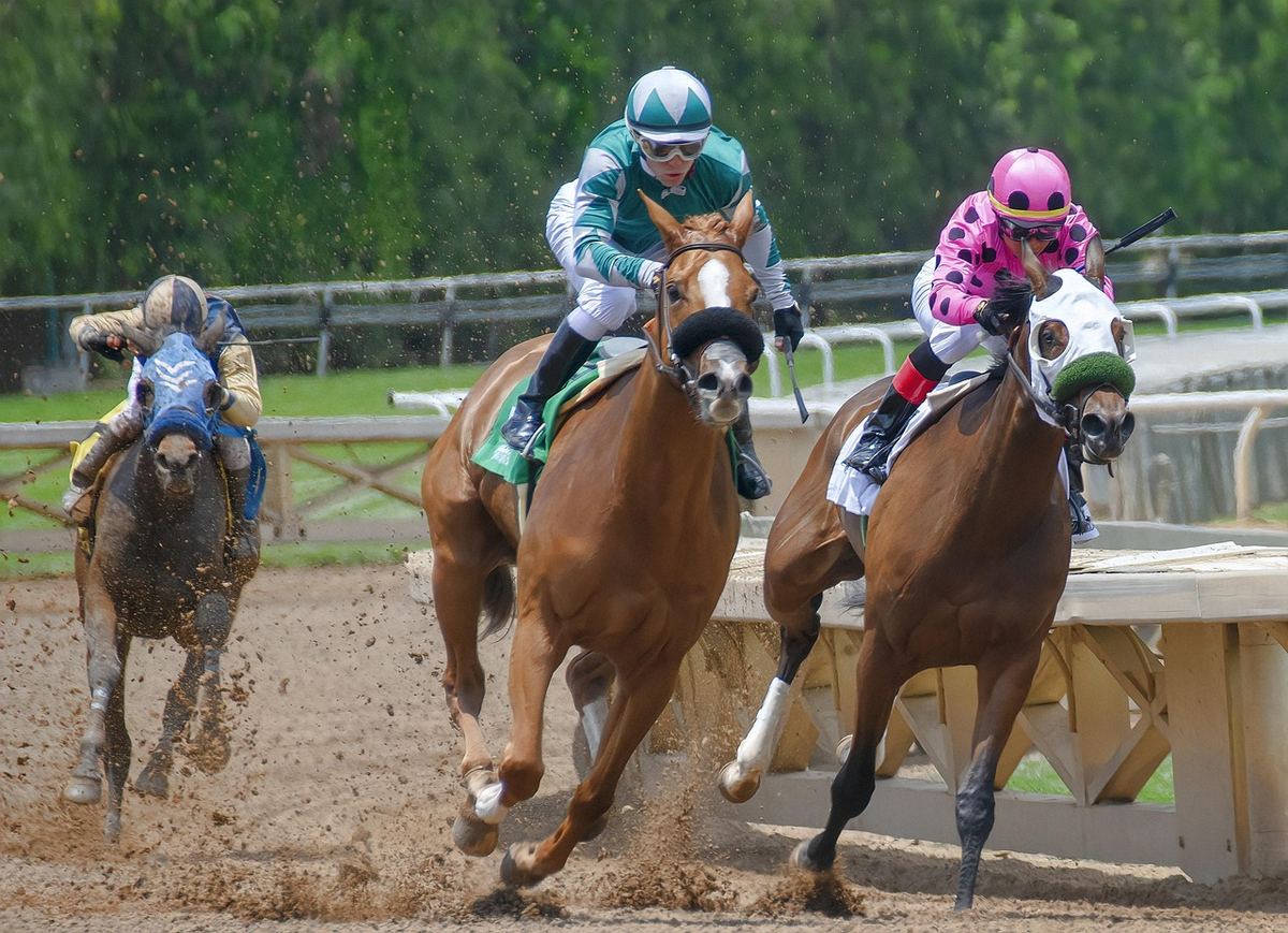 Jockeys en casaques colorées lancés au galop en peloton sur une piste de courses hippiques, ambiance turf